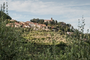 Podere Castiglioncello Migliana