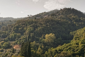 Podere Castiglioncello nella natura (2)