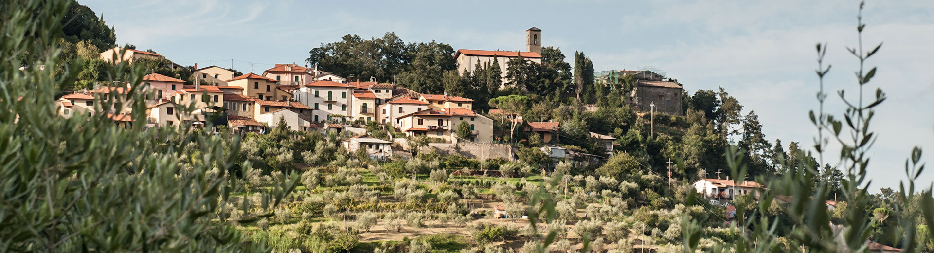 Agriturismo Castiglioncello 4